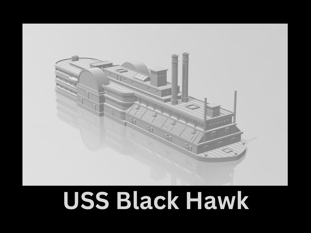 Manley LFG3D104- 1/600 USS Black Hawk