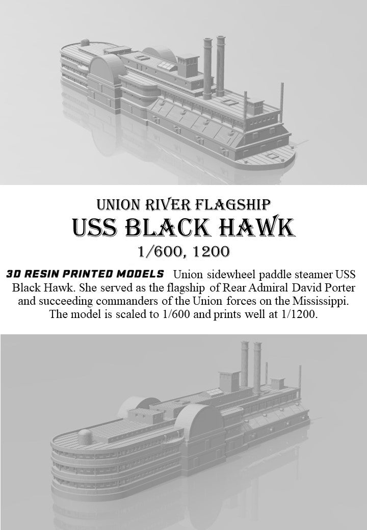 Manley LFG3D104- 1/600 USS Black Hawk